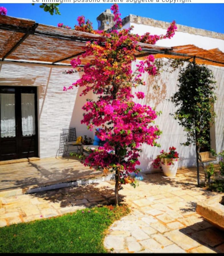 Room In Bb - Stunning Quadruple Room In Ancient Masseria Near The Sea In A Quiet Olive Trees Ostuni Dış mekan fotoğraf