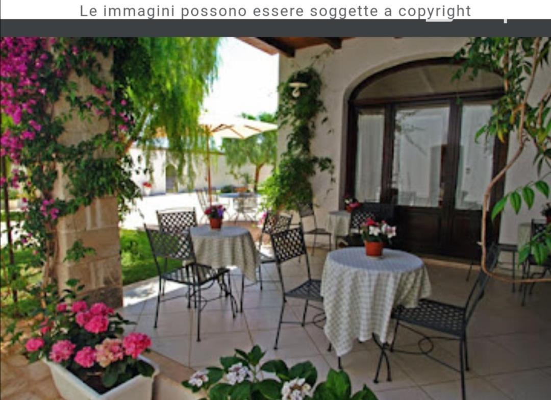 Room In Bb - Stunning Quadruple Room In Ancient Masseria Near The Sea In A Quiet Olive Trees Ostuni Dış mekan fotoğraf