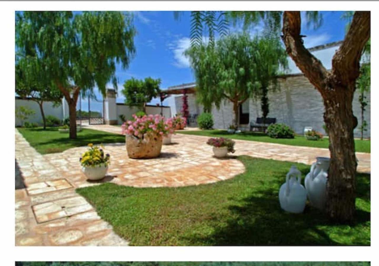 Room In Bb - Stunning Quadruple Room In Ancient Masseria Near The Sea In A Quiet Olive Trees Ostuni Dış mekan fotoğraf