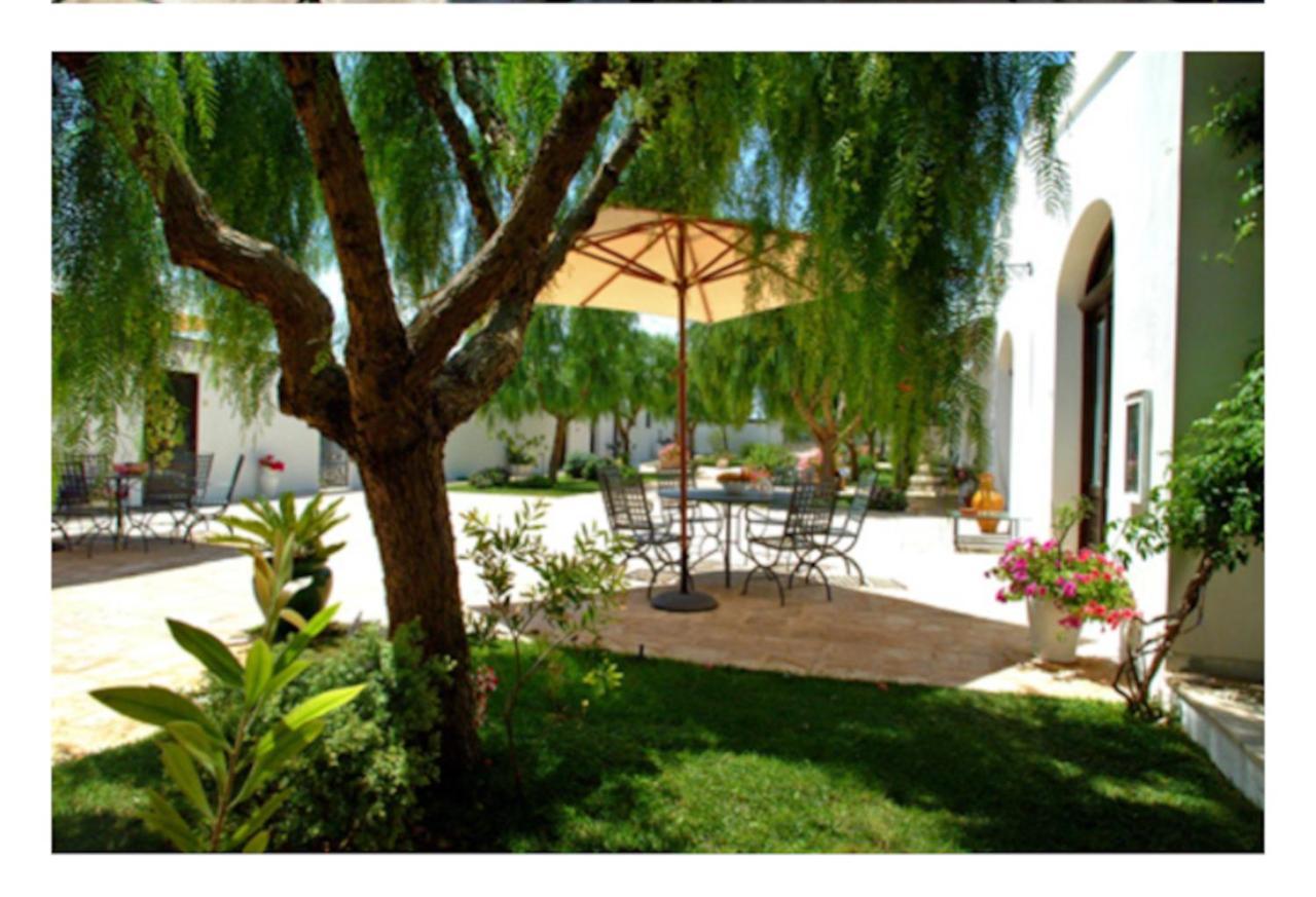 Room In Bb - Stunning Quadruple Room In Ancient Masseria Near The Sea In A Quiet Olive Trees Ostuni Dış mekan fotoğraf